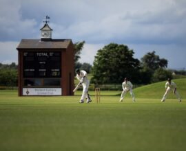 group of person playing cricket